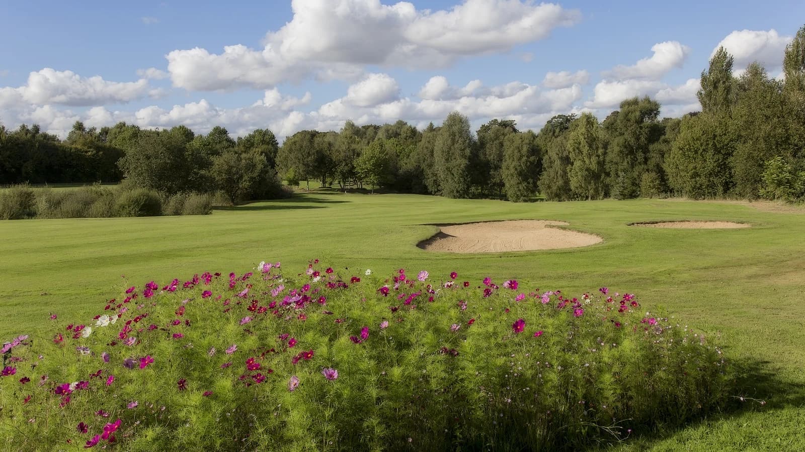 Vue du parcours arboré et des bunkers du Golf Rouen La Forêt Verte.