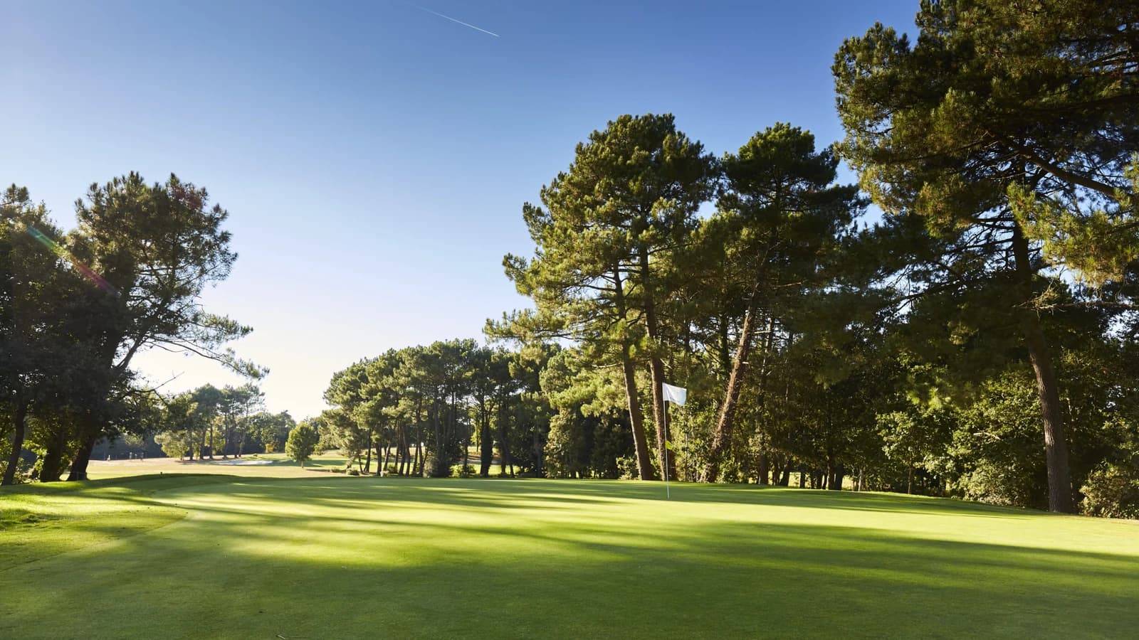 Green et drapeau bordés de pins au Golf Bluegreen Saint-Laurent à Ploemel.