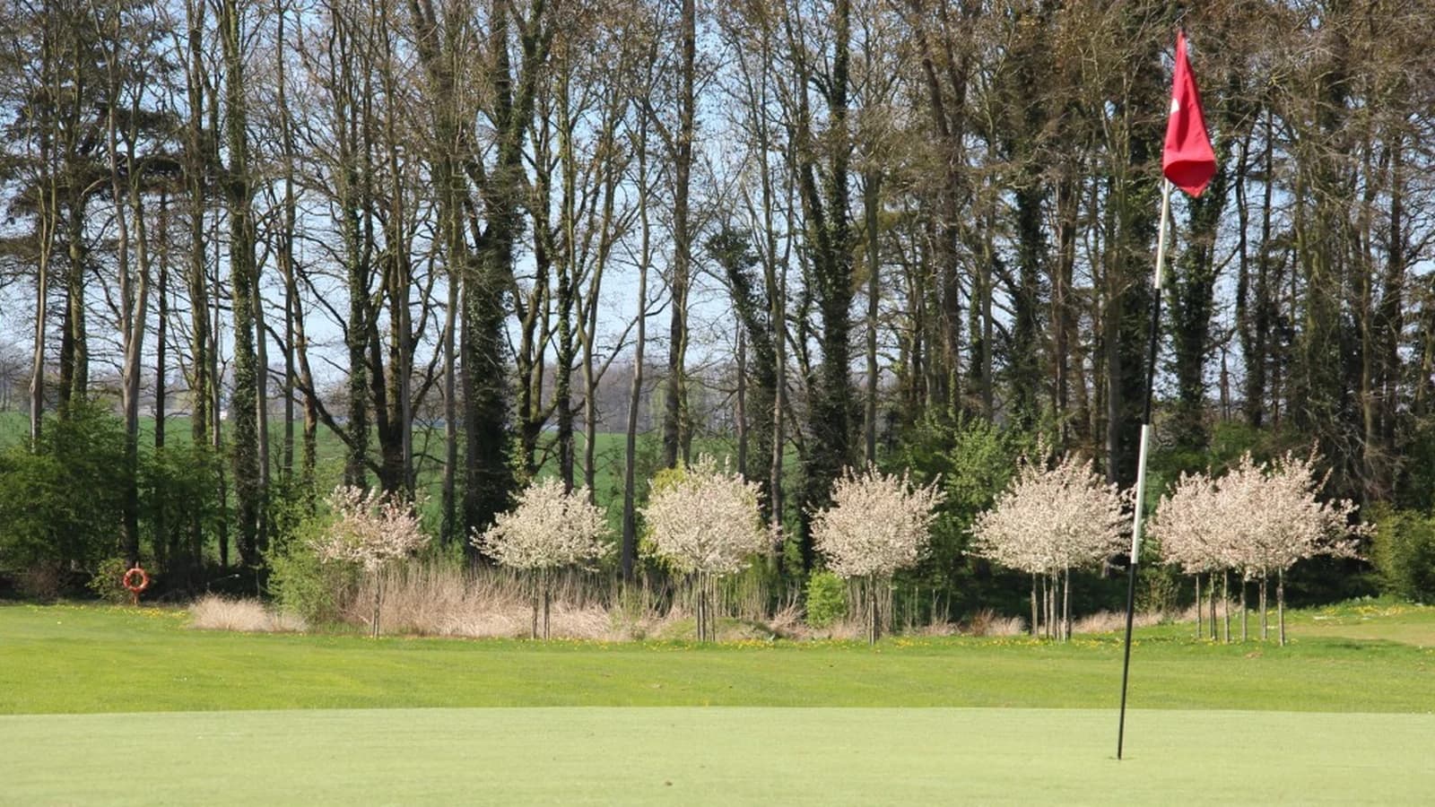 Green et drapeau du Golf d’Arnouville bordés d’arbres en fleurs.