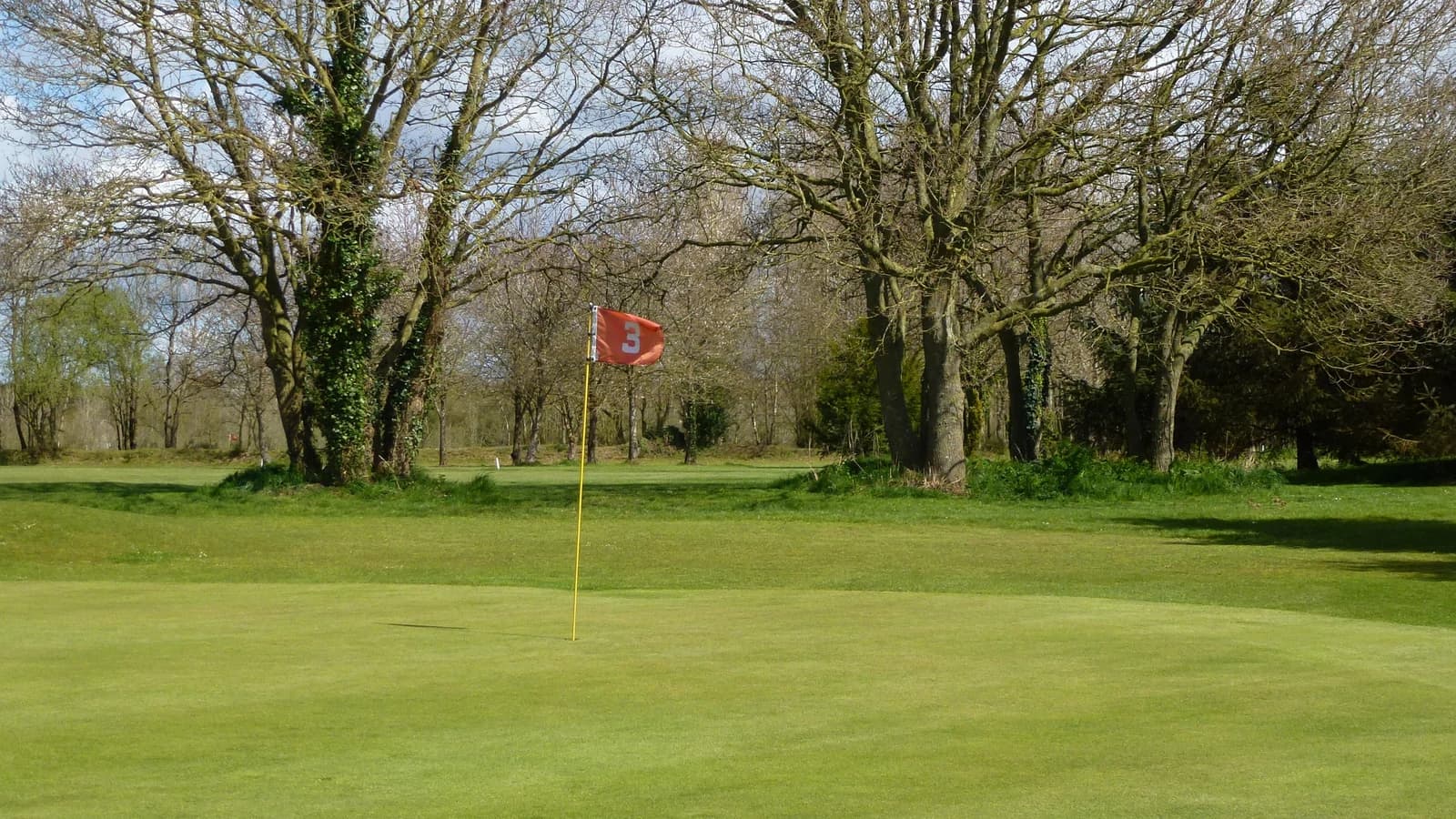 Green du trou n° 3 du Golf de Bégard dans un cadre arboré.