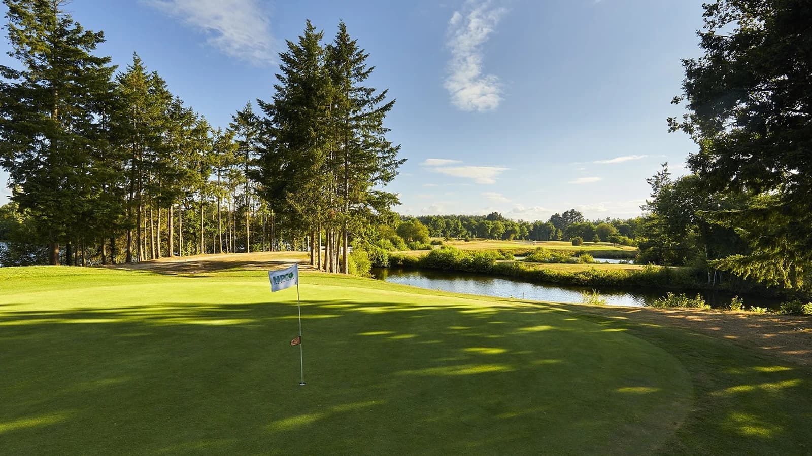 Green et drapeau du golf de Cicé-Blossac au bord d’un plan d’eau.