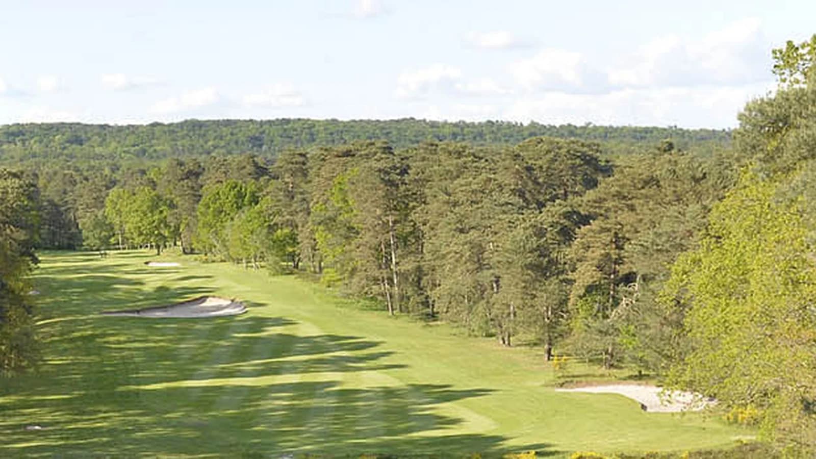 Fairway du Golf de Fontainebleau bordé par la forêt et ponctué de bunkers.