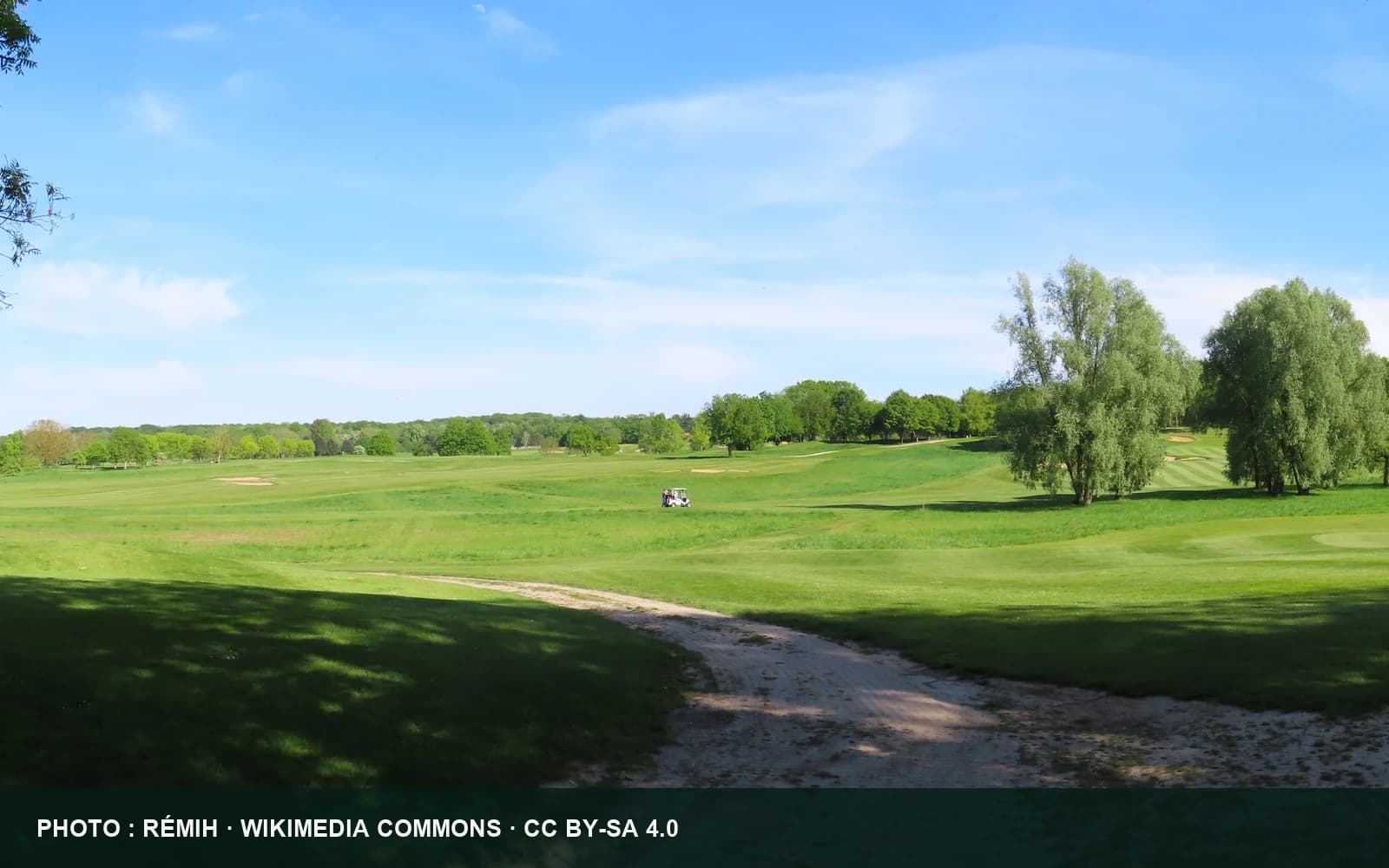 Vue panoramique d’un parcours du Golf de Joyenval bordé d’arbres.