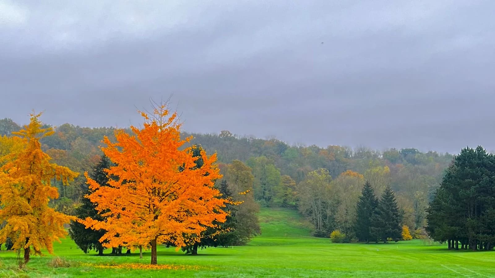 Fairway du Golf de Meaux-Boutigny dans un paysage arboré aux couleurs d’automne.