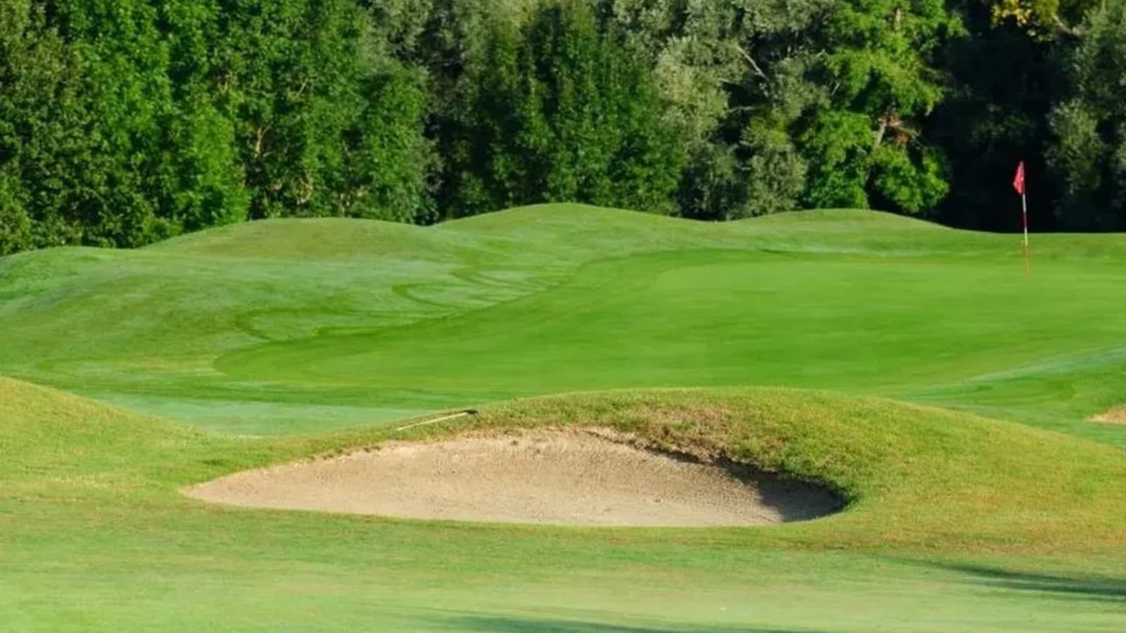 Green et bunker du Golf de Saint-Germain-lès-Corbeil.
