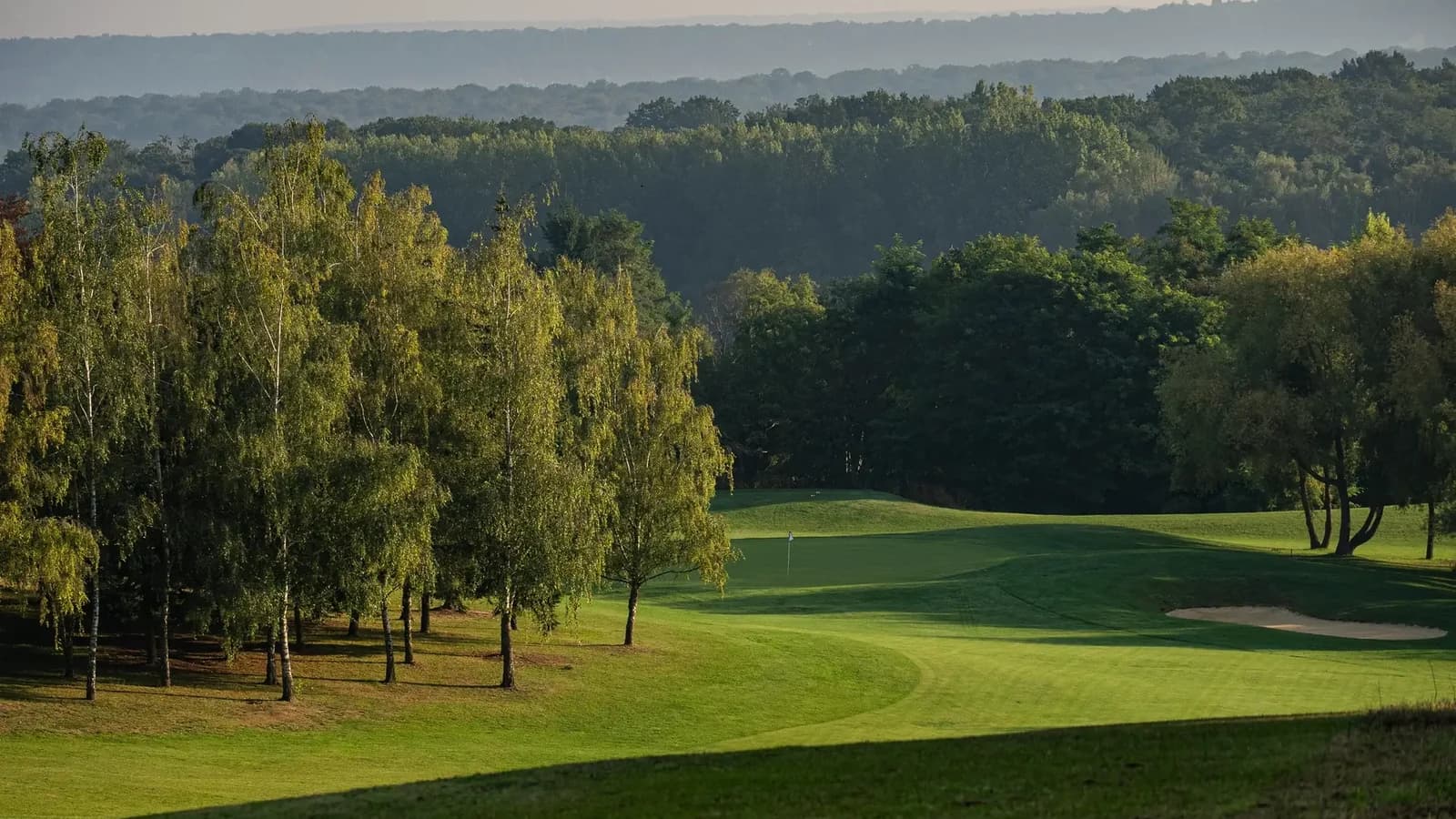 Parcours vallonné du Golf Hôtel de Mont Griffon avec fairways, greens et bunkers dans un environnement boisé.