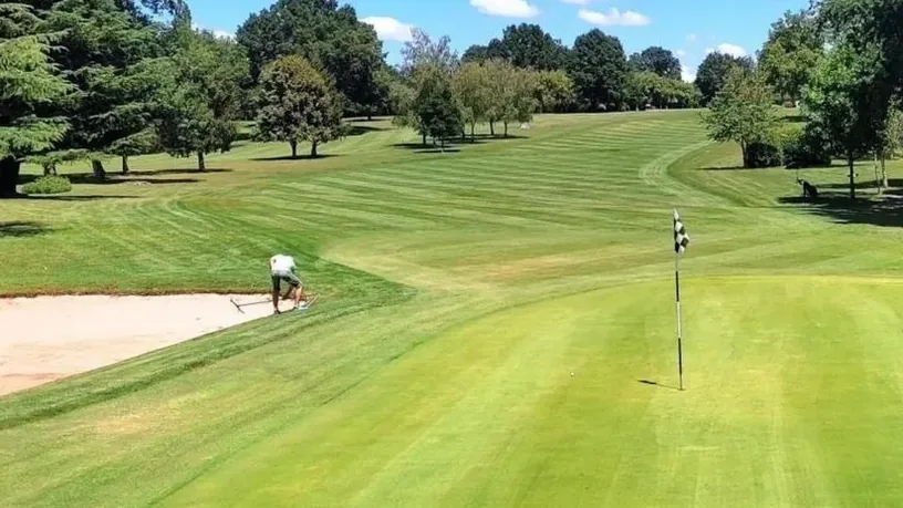 Green, mât du drapeau, golfeur et bunker.