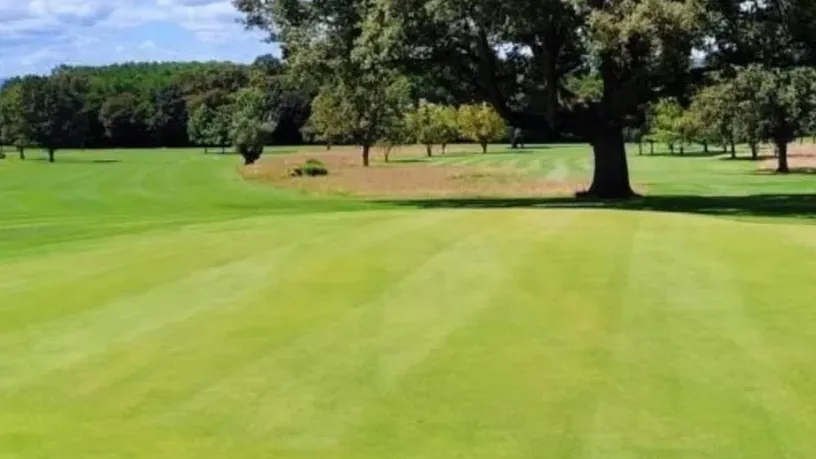 Perspective distincte du fairway et du green bordés d’arbres.