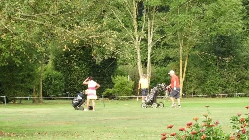 Golfeurs et chariots sur un green arboré.