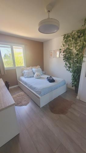 Chambre d'hôte dans une maison chaleureuse