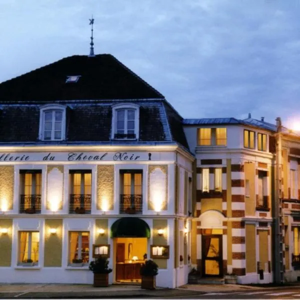 Vue de l’établissement L'Hôtel Le Cheval Noir