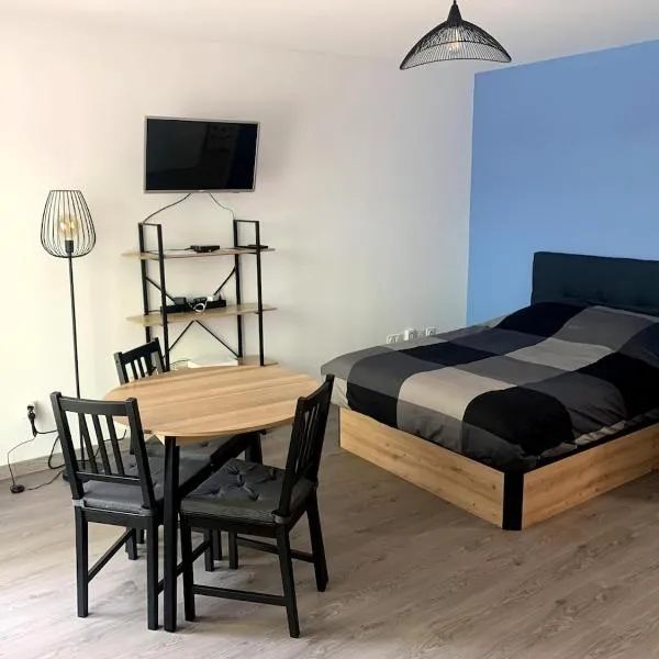 Vue de l’établissement Appartement T1 proche aéroport