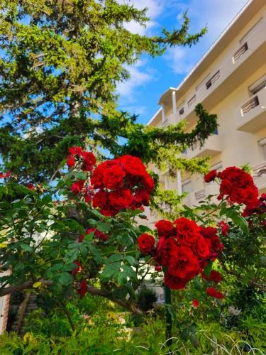 Photographie de Hôtel LA PERGOLA