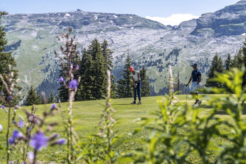 Vue du golf de Flaine-Les Carroz vers les reliefs rocheux, avec végétation au premier plan.