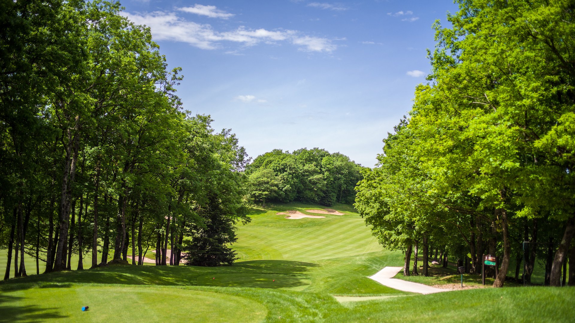 Fairway du golf de Bossey encadré de grands arbres.